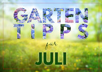 Garten_Tipps_Vorschau_News_Juli